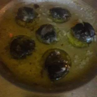 Escargot