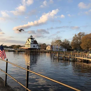 a seagull flying over the water