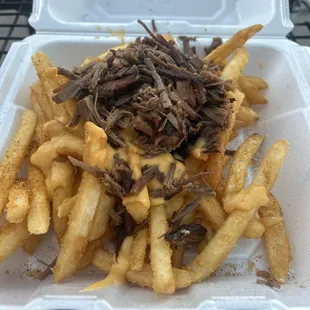 Brisket nacho fries. They were bland and not exciting!