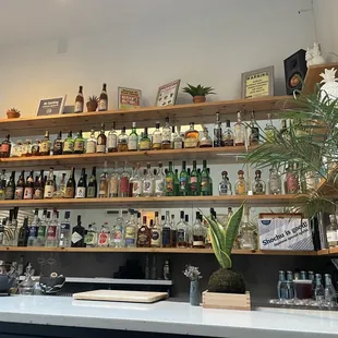 a bar with shelves of liquor