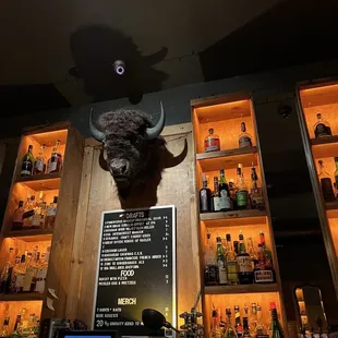 a bull head mounted on the wall