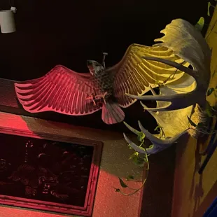 interior, sushi and sashimi