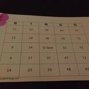 Tittie Bingo