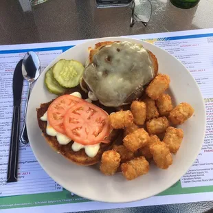 Classic Cheeseburger with Swiss &amp; Tomato and perfect tater tots! Yum