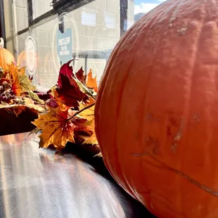 Pumpkin