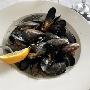 oysters and mussels, oysters, food, mussels, shellfish