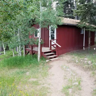 Cabin 4