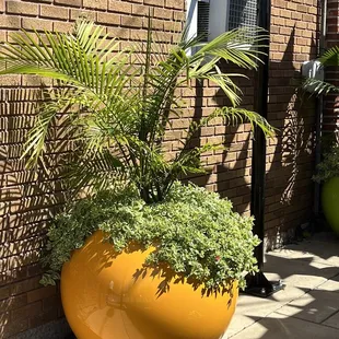 Beautiful planter outside