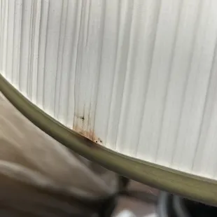 Bedbug in lamp shade I killed