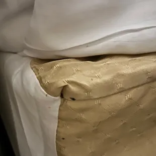 Bedbugs in the bed skirt