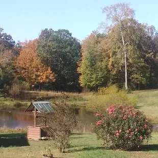 A view from the parking lot