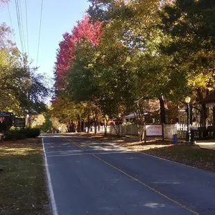 Looking down the street