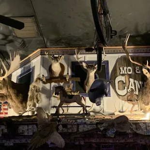 Ambience, March 2023