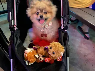 Red Mountain Bar & Grill