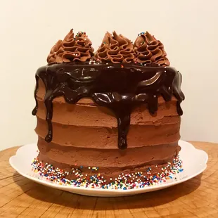 Semi-sweet chocolate chips, dutch chocolate buttercream, 4 layers of dark chocolate fudge cake