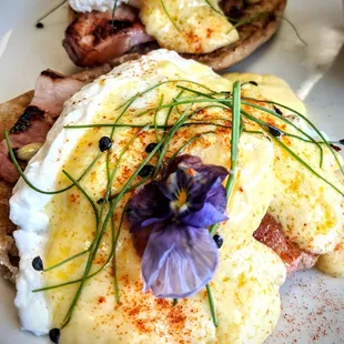 Eggs Benedict