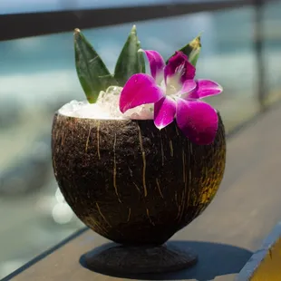 That Jimmy Buffet Song is served in a real coconut shell bowl and highlights a Pina Colada On The Rocks w/ a Tasteful Twist of Skrewball