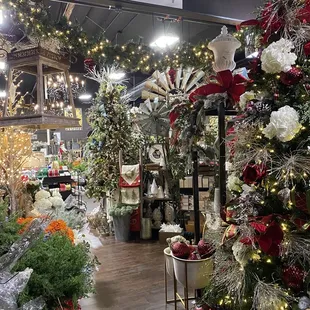 So many Unique Items on Display !