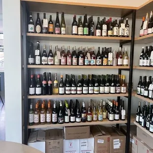 Inside wine shelf
