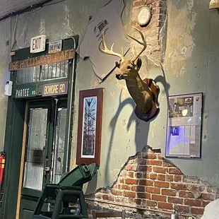 a deer head mounted on the wall