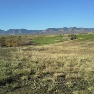 Fox Hollow
