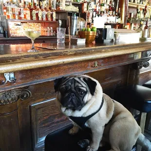 "Can I have a dirty martini please?"