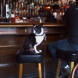 "ok. bartender brought my PBR chelada. now, how do i drink it? ... grrrr."