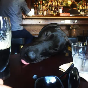 Easy to get to this point with delicious drinks this cheap. Definitely coming back and bring our Great Dane with us.