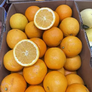 Navel orange