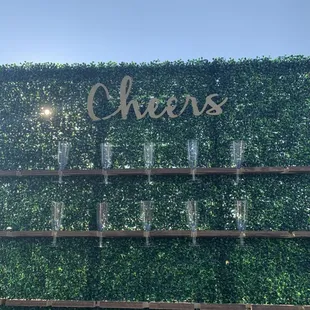 Cheers wall!
