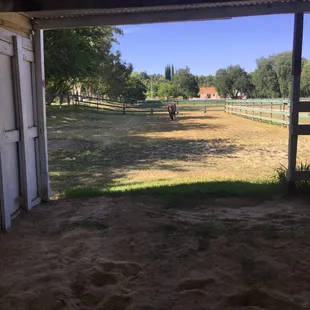 Generous size paddocks.