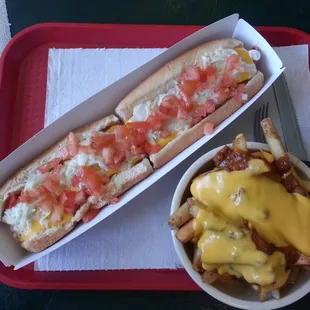 Foot long slaw dog with tomatoes, cheese, mayo, and chili; and chili cheese fries.