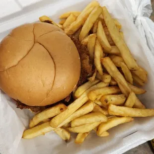 a hamburger and french fries