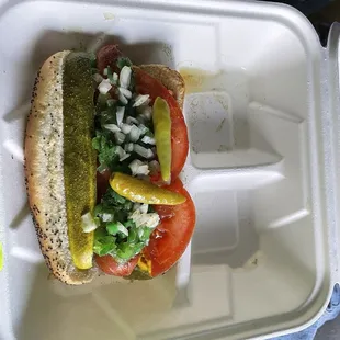 Chicago dog.
