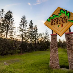 Photograph taken by John Huan Vu of San Jose on April 29, 2022. Not for commercial or reproduction without permission from owner.