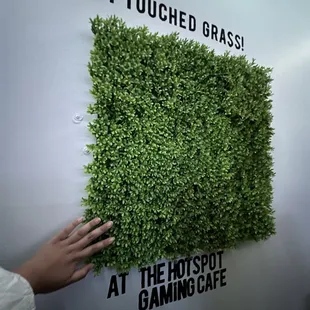 a hand touching a green wall