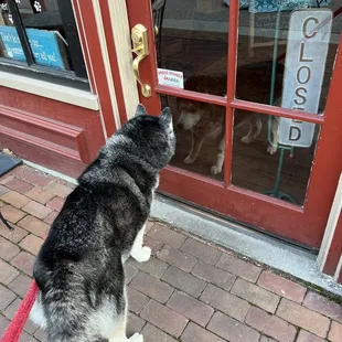 Oh no, not again.