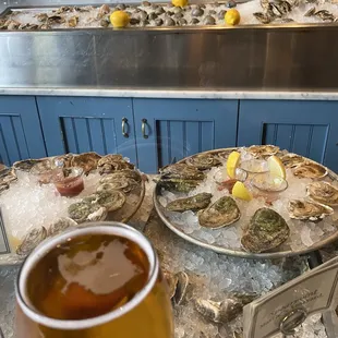 Oysters and beer