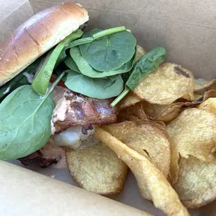 Chicken of Clubs Sandwich