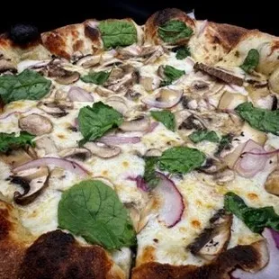 Mushroom mania