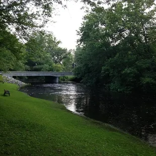 a bridge over a river in a park