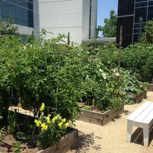 They grow their own fresh vegetables and fruit on site.