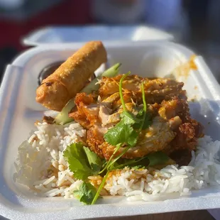 Curry Chicken with Rice