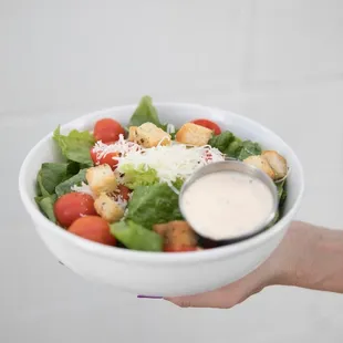 a person holding a bowl of salad