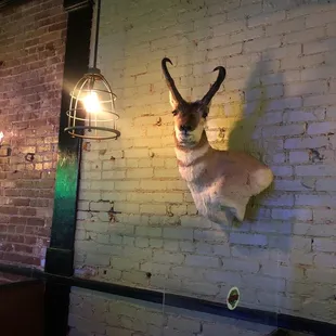 a deer head mounted on a brick wall