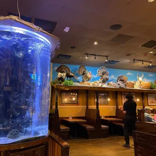 a fish tank in a restaurant