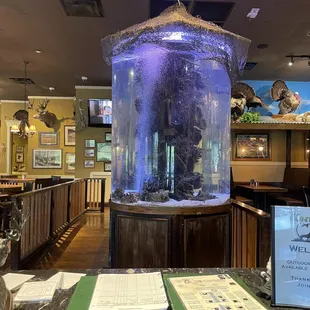 a fish tank in a restaurant