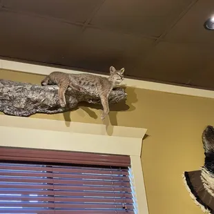 Decoration only, not on the menu.