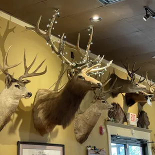They watched me eat the whole time.