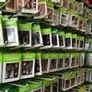 Miniatures